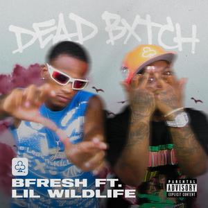 DEAD BXTCH (feat. LIL WILDLIFE) (Explicit)