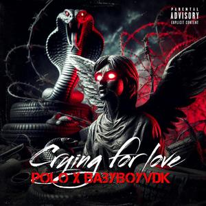 Crying For Love (feat. Polo) (Explicit)