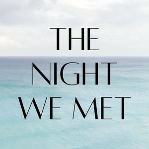 The Night We Met