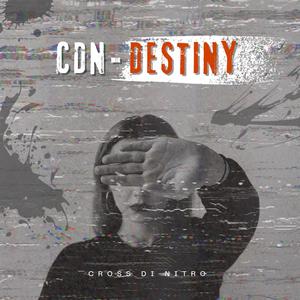 Destiny (Explicit)