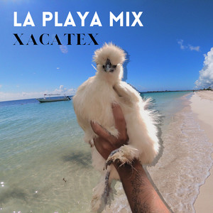 La Playa Mix