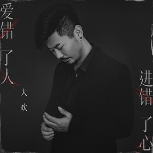 爱错了人进错了心-大欢