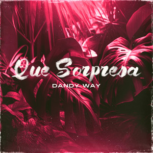 Que Sorpresa