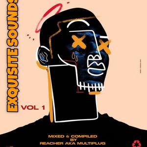 Exquisite Sounds Vol 1 (Mixed and Compiled by Reacher a.k.a Multiplug)