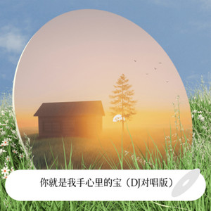 你就是我手心里的宝 (DJ 缺女声版伴奏)