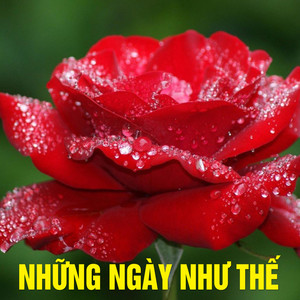 Những ngày như thế