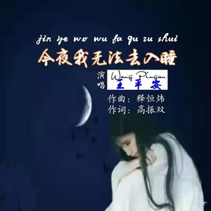 今夜我无法去入睡