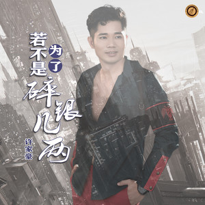 若不是为了碎银几两