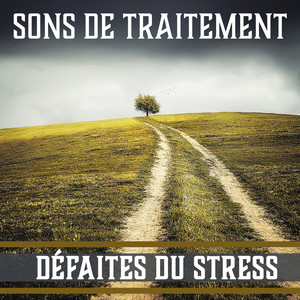 Sons de traitement: Défaites du stress - Des bruits naturels clairs, Temps apaisant, Détendez-vous avec la musique calme, Âme saine