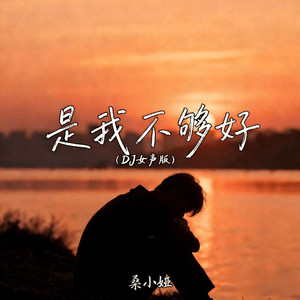 是我不够好 (DJ女声版)