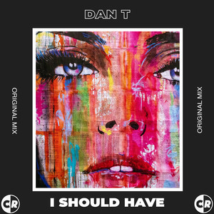 I Should Have (Original Mix)