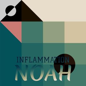 Inflammation Noah