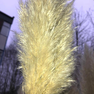 coverthefloor (feat. fatelasts) (Explicit)