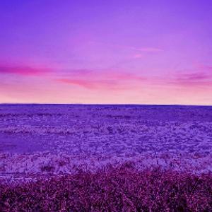 Good times(feat. 4twnty) (Explicit)