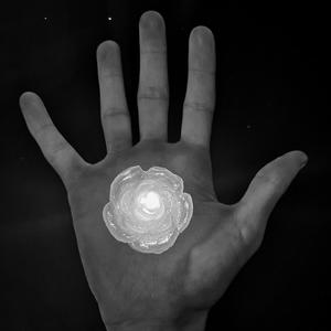 like.wise,staring.into.space