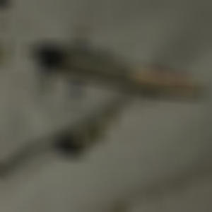 MVP (feat. Shadow The Don) (Explicit)