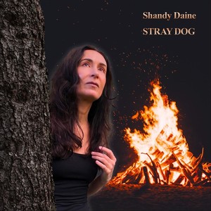 Stray Dog (feat. Pericles Timplalexis)