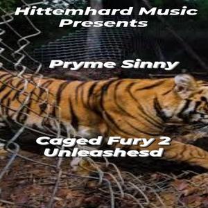 Caged Fury 2 Unleashesd (Explicit)