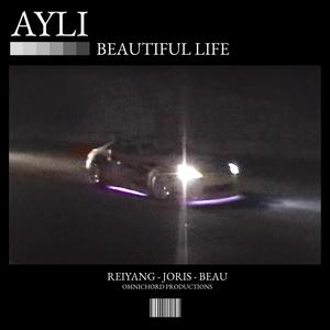 Beautiful Life (feat. Reiyang, Joris Hoogendoorn, BeauString & OMNI)