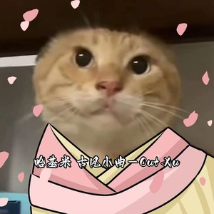 哈基米 古风小曲