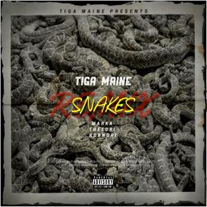 Snakes (feat. Marka, TheeOri & ROBNORI) [Remix]