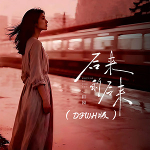 DJWH - 后来的后来 (DJWH试听版)