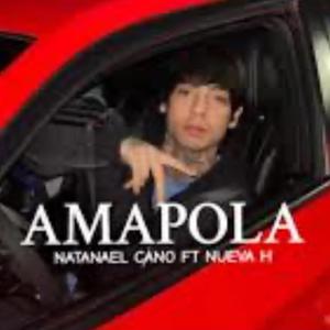 Amapolaa (feat. Nataaanael)