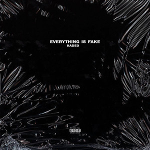 Everything Is Fake (Explicit)