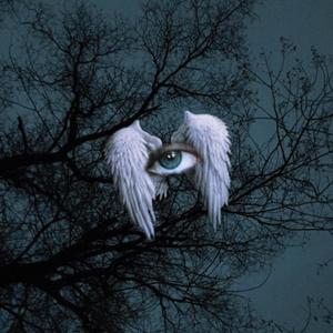 take you home (feat. just tommy) (Explicit)