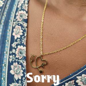 SORRY (Explicit)