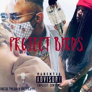 Project Birds (Explicit)