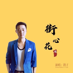 鸽子 - 街心花园