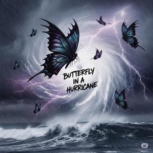 BUTTERFLY IN A HURRICANE (Explicit)