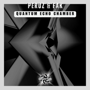 Quantum Echo Chamber