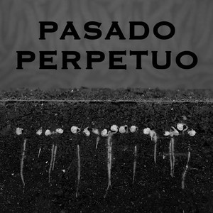 Pasado perpetuo (remezcla)