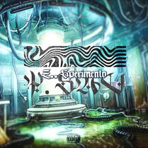 Il mondo se ne fotte (feat. Malfer)