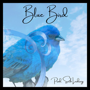 Blue Bird (Instrumental with Hook)