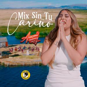 Mix Sin Tu Cariño