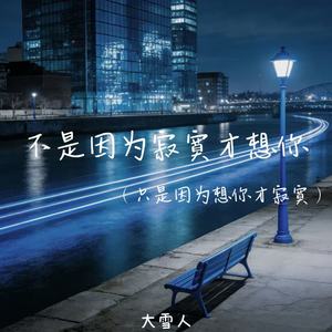 不是因为寂寞才想你(只是因为想你才寂寞)