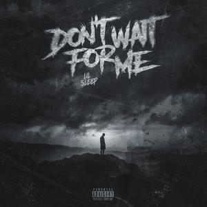 Don't Wait For Me (Explicit)