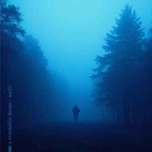 a wonderful dream (slowed & reverb)