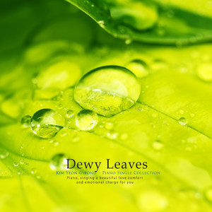 이슬 맺힌 나뭇잎 (Dewed leaves)