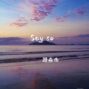 Say so (0.9X版)