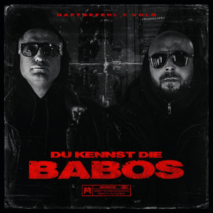 DU KENNST DIE BABOS (Explicit)