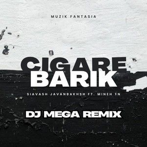 Cigare Barik (Remix)