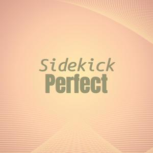 Sidekick Perfect