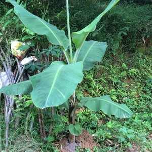 迪厅三步曲2
