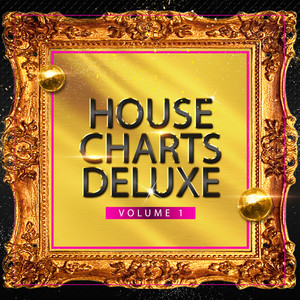 House Charts Deluxe, Vol. 1