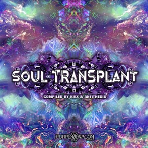 Toadstool (Original Mix)