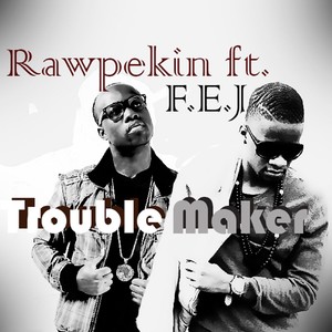 Trouble Maker (feat. F.E.J)